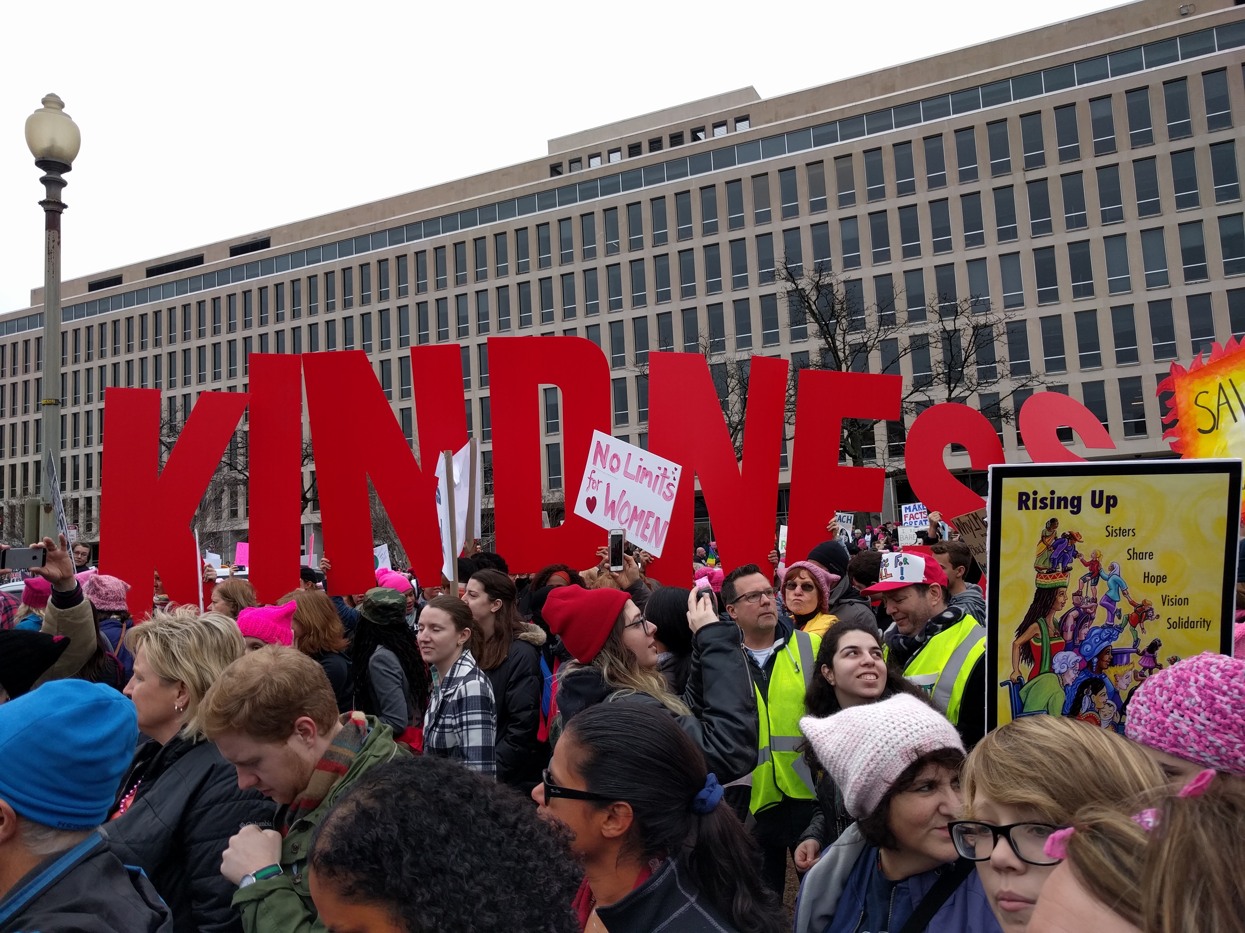 One example of the great signs at the Women's March in DC.